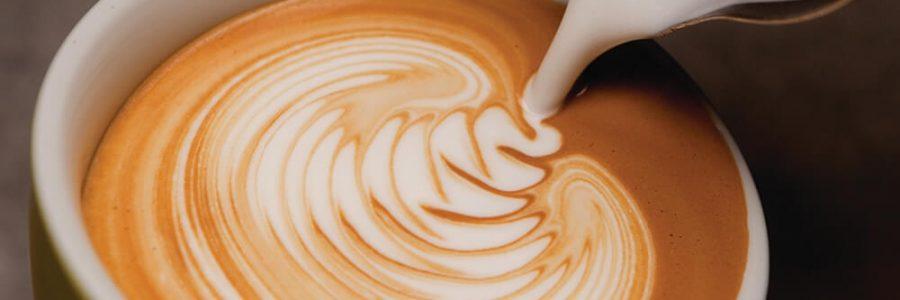 Latte Art oktatás